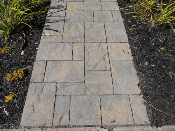 Stamped Concrete Staining in Brentwood